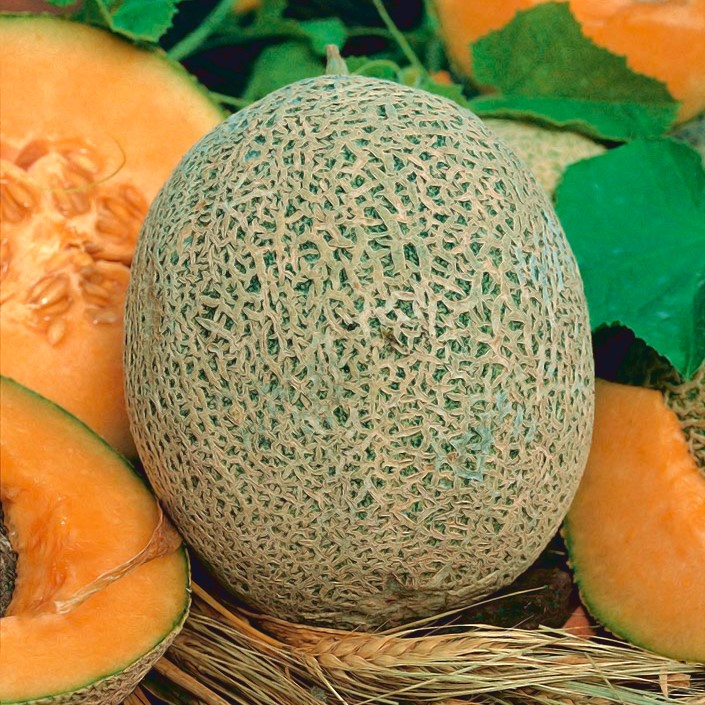 Melon Emir F1 18 nasion w SklepNasiona Sprawdź darmową wysyłkę