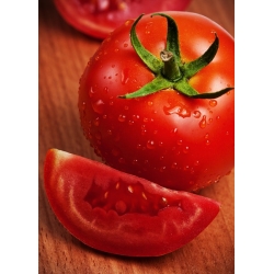 Pomidor Baron F1- do uprawy pod osłonami