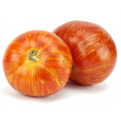 Pomidor wysoki - Tigerella - 80 nasion