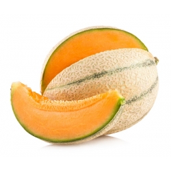 Melon MALAGA F1 - 26 nasion