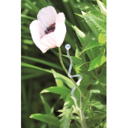 Zielony zygzak - Podpórka do storczyka i innych kwiatów