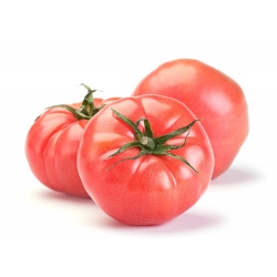 Pomidor gruntowy malinowy - Faworyt - owoce do 0,5 kg! - 263 nasion