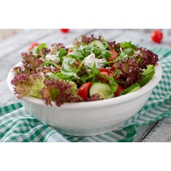 Sałata dębolistna - Red Salad Bowl - 1150 nasion