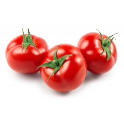 Pomidor Beta