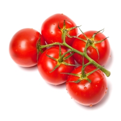 Pomidor Beta