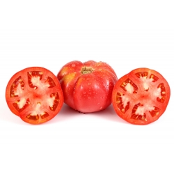 Pomidor Brutus