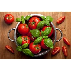 Pomidor wysoki – Adam F1 - 64 nasion
