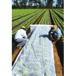 Agrowłóknina wiosenna - zdrowe plony dzięki skutecznej ochronie - 3,2 x 20,0 m