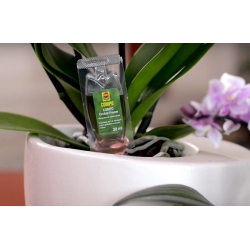 Orchid Power - odżywka do storczyków z aplikatorem - Compo - 1 x 30 ml