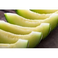 Melon Seledyn F1 - 30 nasion