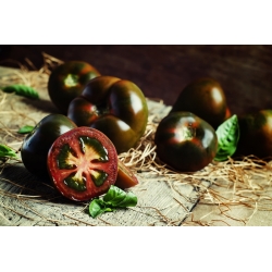 Pomidor Noire de Crimee - gruntowy wysoki