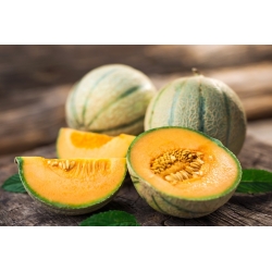 Melon Bosman