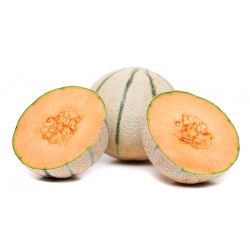 Melon Bosman