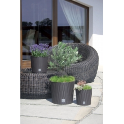 Doniczka okrągła + wkład Rato round - 25 cm - umbra, ciemny brąz