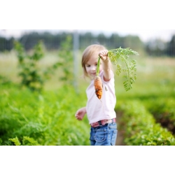 Wesoły ogródek - Tęczowe marchewki - Nasiona do uprawy dla dzieci!