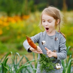 Wesoły ogródek - Tęczowe marchewki - Nasiona do uprawy dla dzieci!