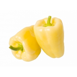 Papryka Bianca F1 - słodka, biała