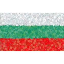 Bułgarska flaga - zestaw 3 odmian nasion kwiatów