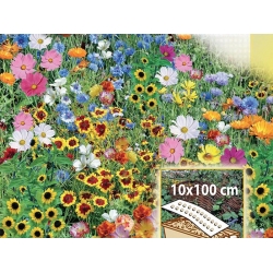 Tęczowa Rabatka - mieszanka kwiatów jednorocznych do skrzynek, na obwódki - Mata 10x100cm