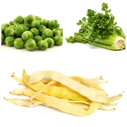 Warzywa do uprawy współrzędnej - Zestaw 10 - 3 gatunki nasion