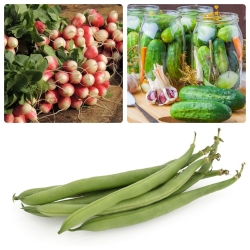 Warzywa do uprawy współrzędnej - Zestaw 9 - 3 gatunki nasion