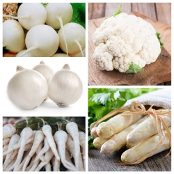 Warzywa białe - zestaw 5 gatunków nasion