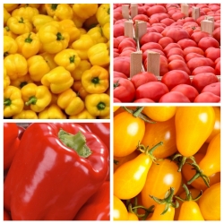 Papryka + pomidor - zestaw 4 odmian nasion warzyw