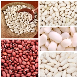 Fasola na suche nasiona - zestaw 5 odmian nasion warzyw