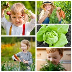 Wesoły ogródek - zestaw 5 odmian nasion do uprawy dla dzieci