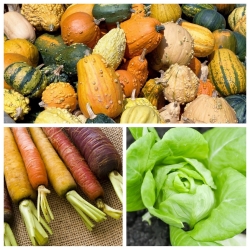 Wesoły ogródek - zestaw 14 odmian nasion do uprawy dla dzieci