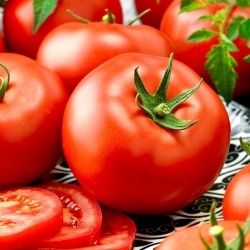 Pomidor wysoki – Adam F1 - 64 nasion