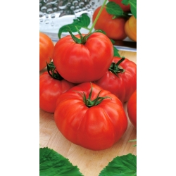 Pomidor Saint Pierre – typ malinowy - 200 nasion