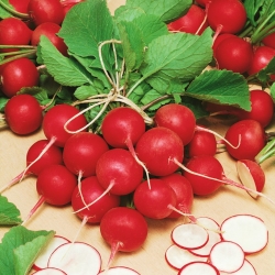 Rzodkiewka Cherry Belle - 850 nasion