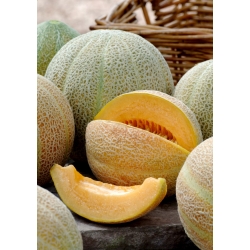 Melon Ananas