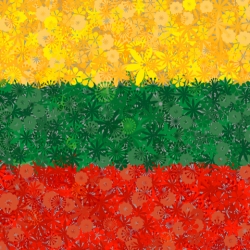 Litewska flaga - zestaw 3 odmian nasion kwiatów