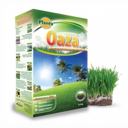 Oaza - mieszanka traw na tereny suche i nasłonecznione - Planta - 2 kg