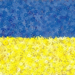 Ukraińska flaga - zestaw 2 odmian nasion kwiatów
