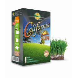 California Sun - mieszanka traw gazonowych na tereny słoneczne i suche - Planta - 5 kg - na 200 m²