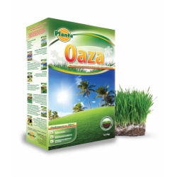 Oaza - mieszanka traw na tereny suche i nasłonecznione - Planta - 15 kg - na 600 m²