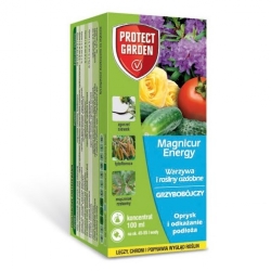Magnicur Energy (Previcur Energy 840 SL) - oprysk na choroby grzybowe roślin - 100 ml