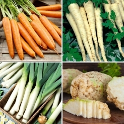 Warzywa późne - zestaw 4 odmian nasion