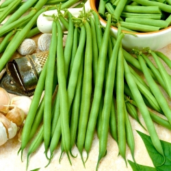 Fasola Delfina - szparagowa, zielona, do mrożenia i konserwowania - 250 gram