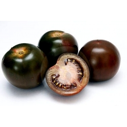 Pomidor wysoki - Black cherry - 60 nasion