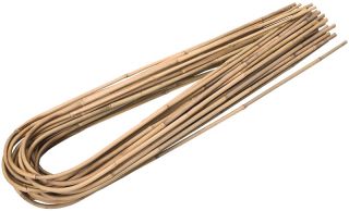 Podpora do roślin - bambus gięty - 8-10 mm / 45 cm