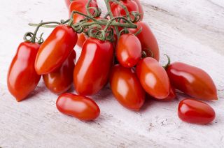 Pomidor gruntowy wysoki S. Marzano 3 - hit w krajach śródziemnomorskich! - 90 nasion