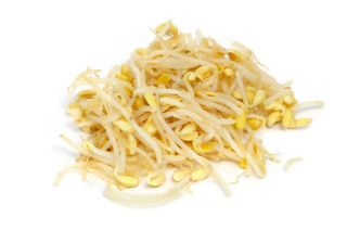 Soja - nasiona na kiełki - 160 nasion