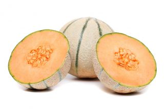 Melon Bosman