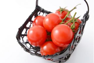 Pomidor Atol - gruntowy, wczesny, niski - 225 nasion