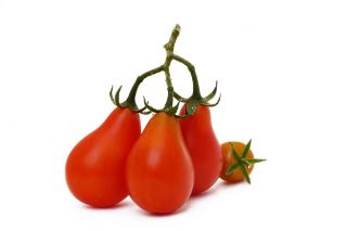 Pomidor Radana - owoce koktajlowe, gruszkowate