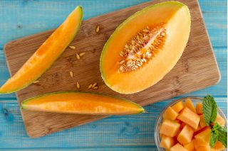 Melon Melba - pomarańczowy, gruby i aromatyczny miąższ - 90 nasion